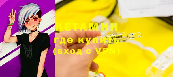 хмурый Аркадак