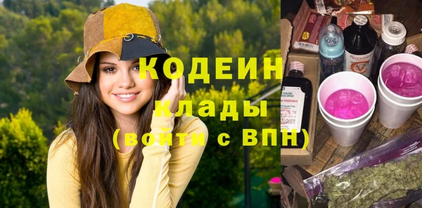 хмурый Аркадак
