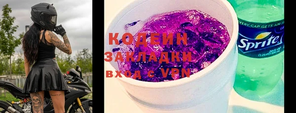 хмурый Аркадак