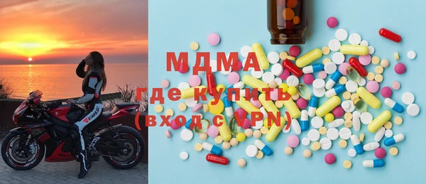 хмурый Аркадак
