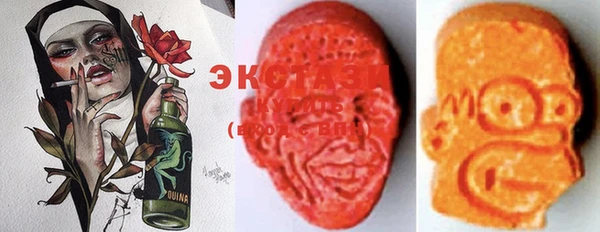 хмурый Аркадак