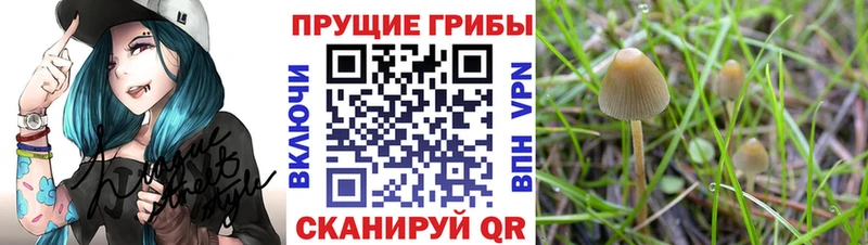 Купить где  Верхнеуральск  Псилоцибиновые грибы ЛСД 